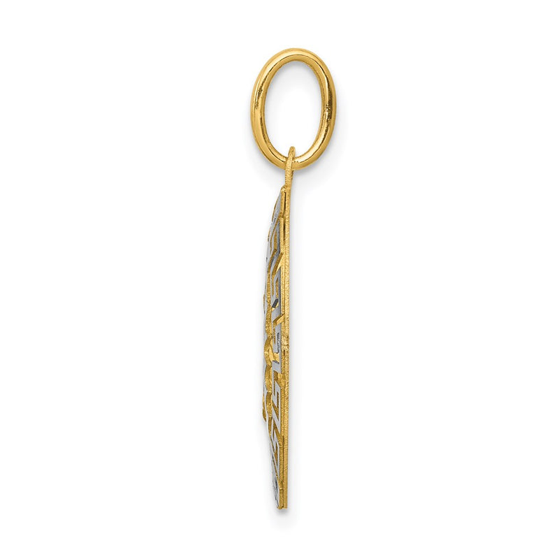 14k Two-tone Gold Two-tone Gold Our Lady Of Guadalupe Semi-solid Pendant