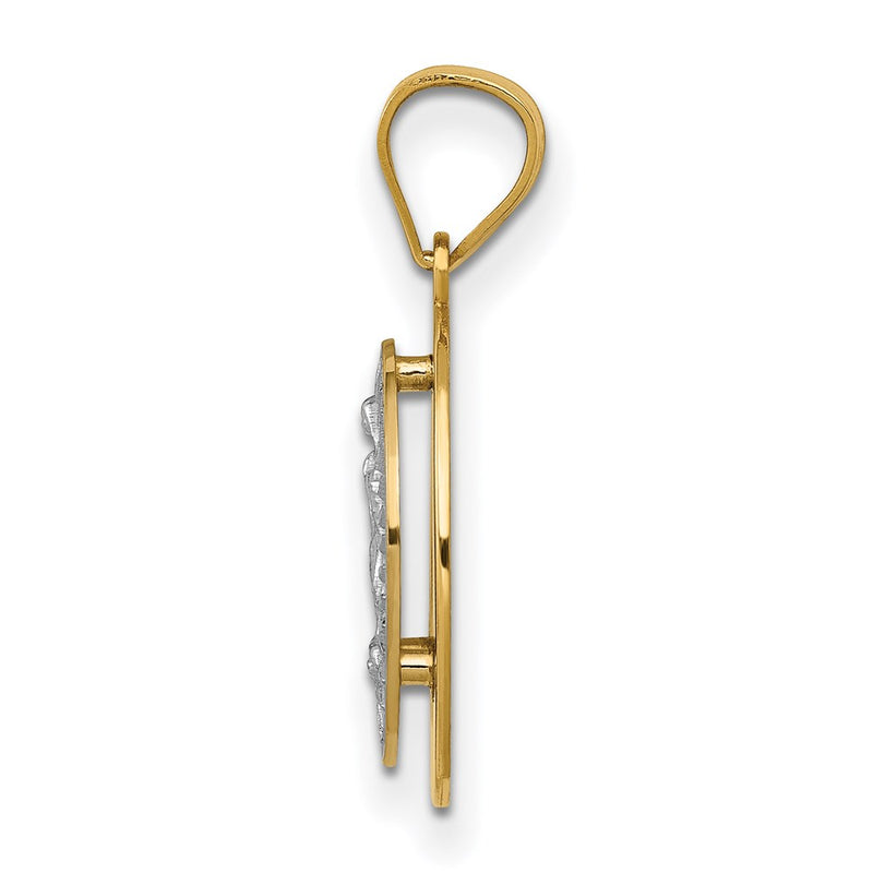 14k Two-tone Gold Raised Lady of Guadalupe Pendant