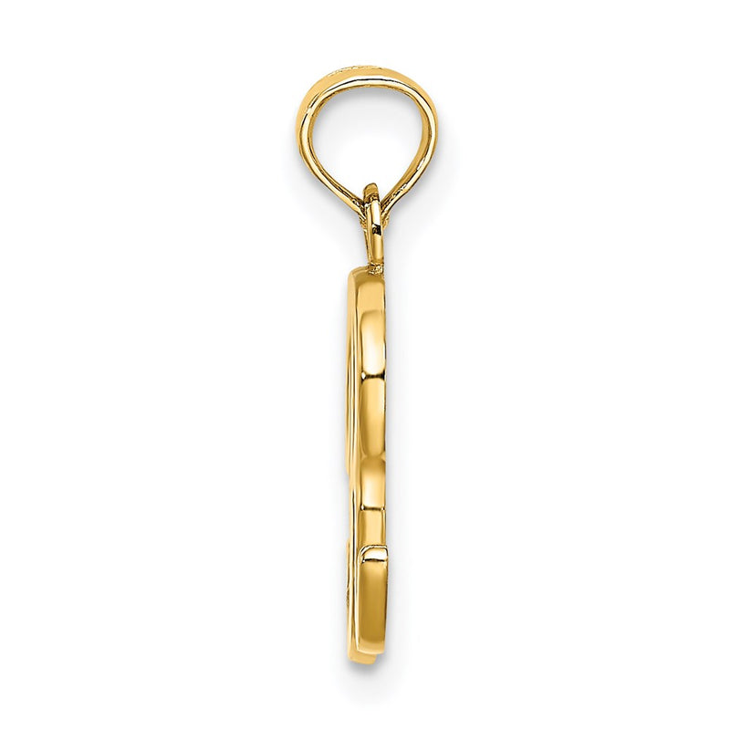 14k Yellow GoldY Script Letter R Initial Pendant