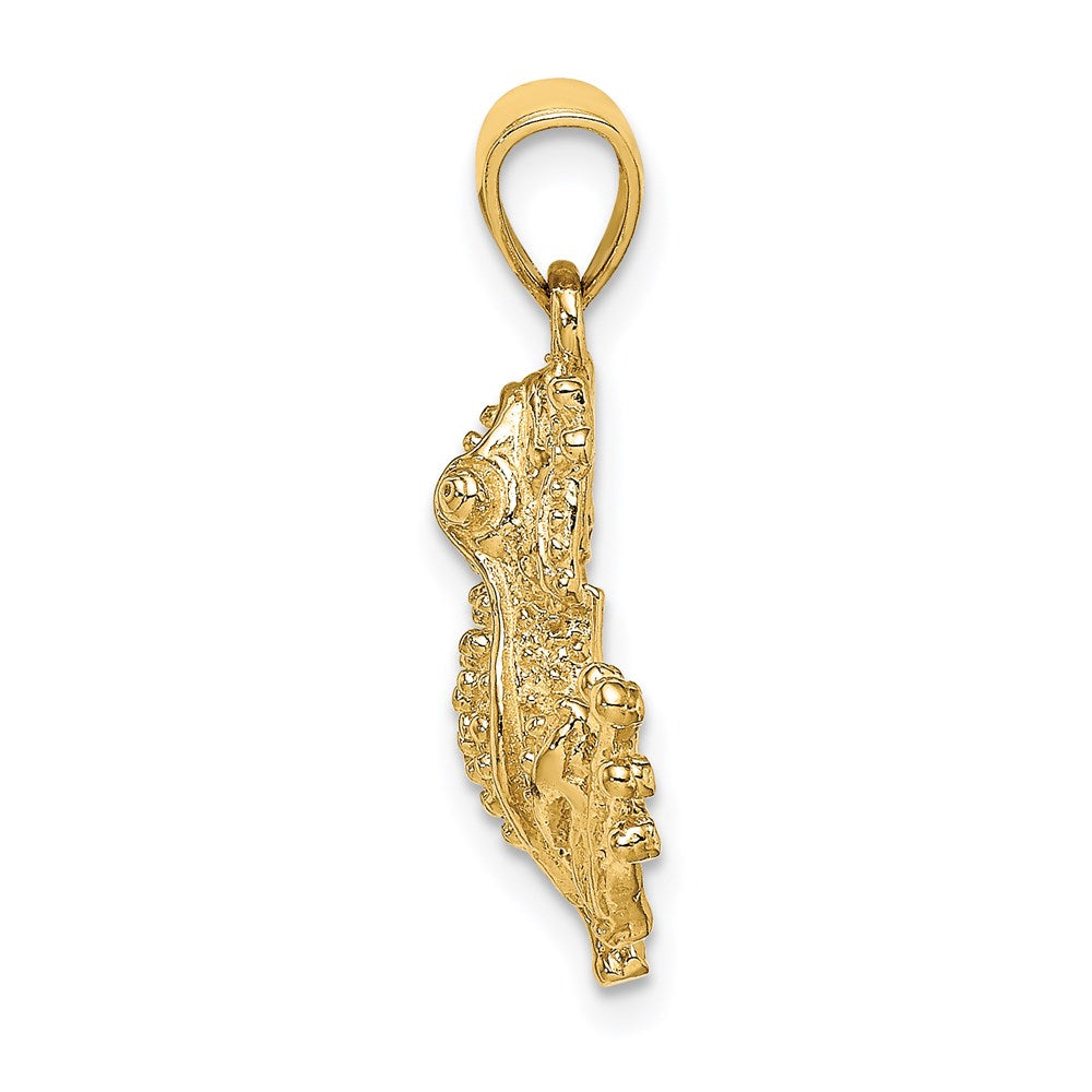 14k Yellow Gold 2-D Textured Frog Charm