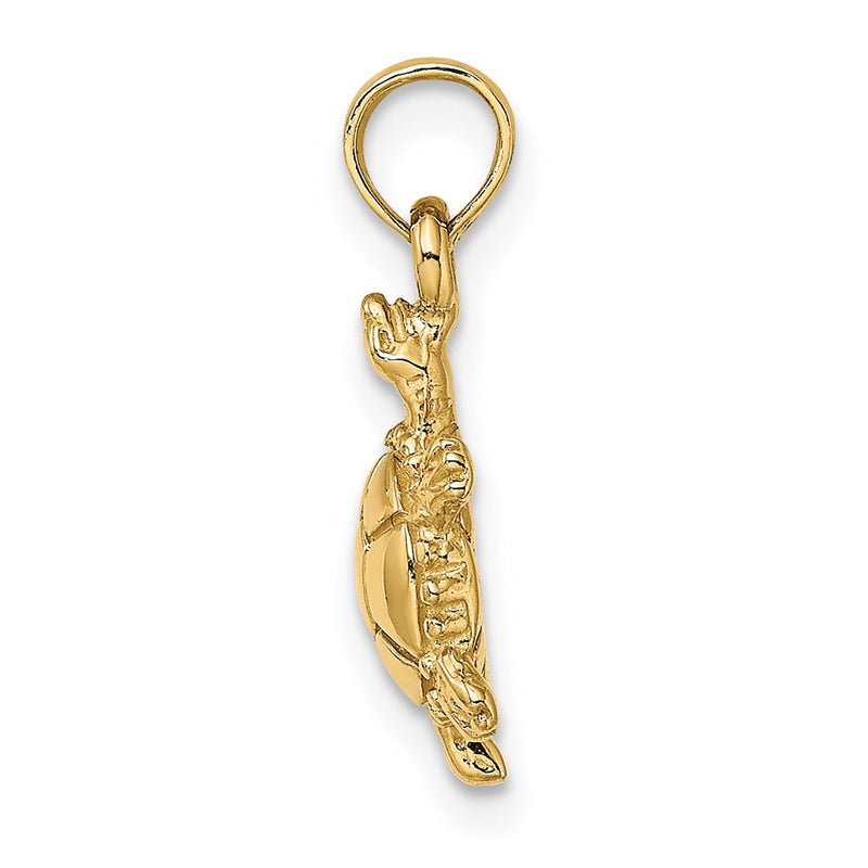 14k Yellow Gold 3-D Polished Land Turtle Charm