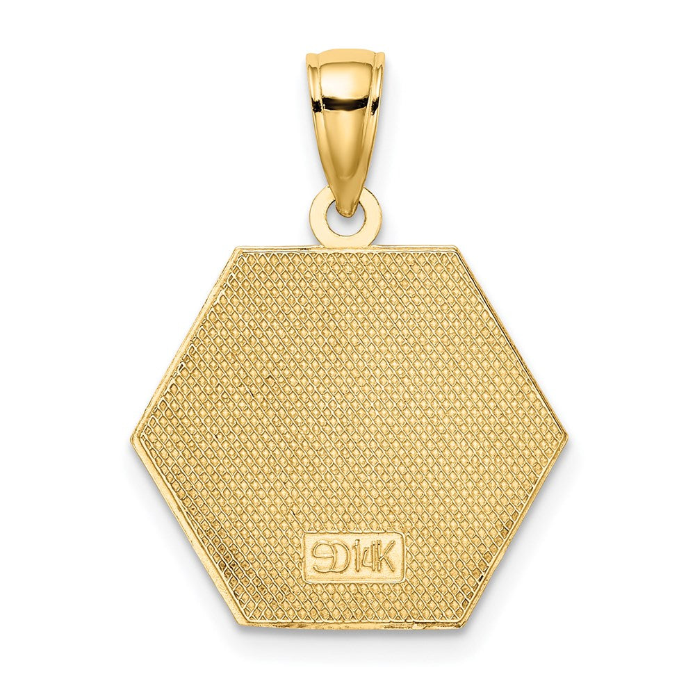 14k Yellow Gold Enameled Textured Back Caduceus Medical Disc