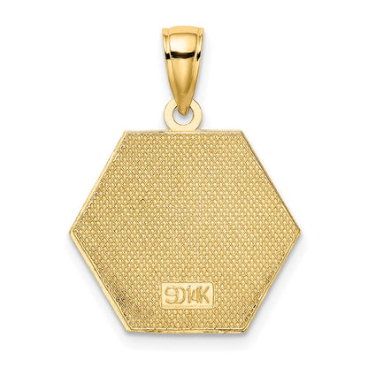 14k Yellow Gold Enameled Textured Back Caduceus Medical Disc