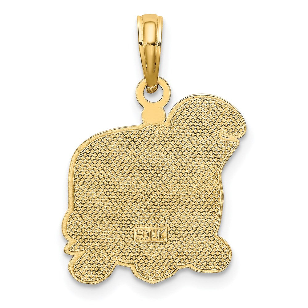 14k Yellow Gold Brown Tan and Black Enamel Turtle Charm