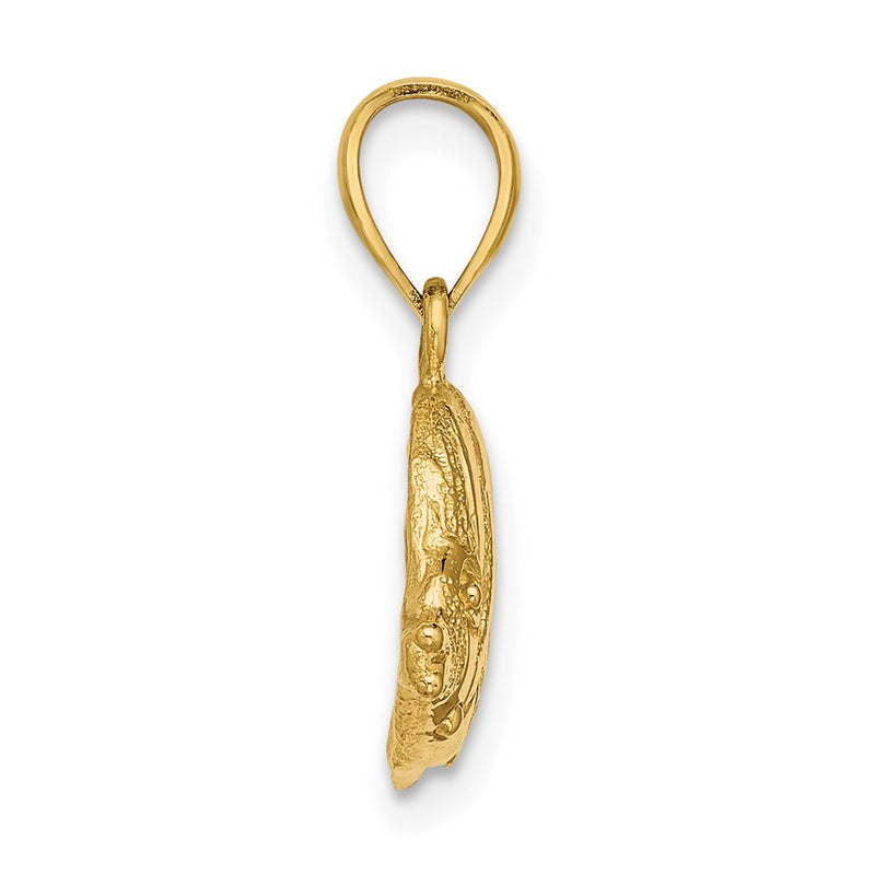 14k Yellow Gold 2-D Polished Engraved Fish Charm