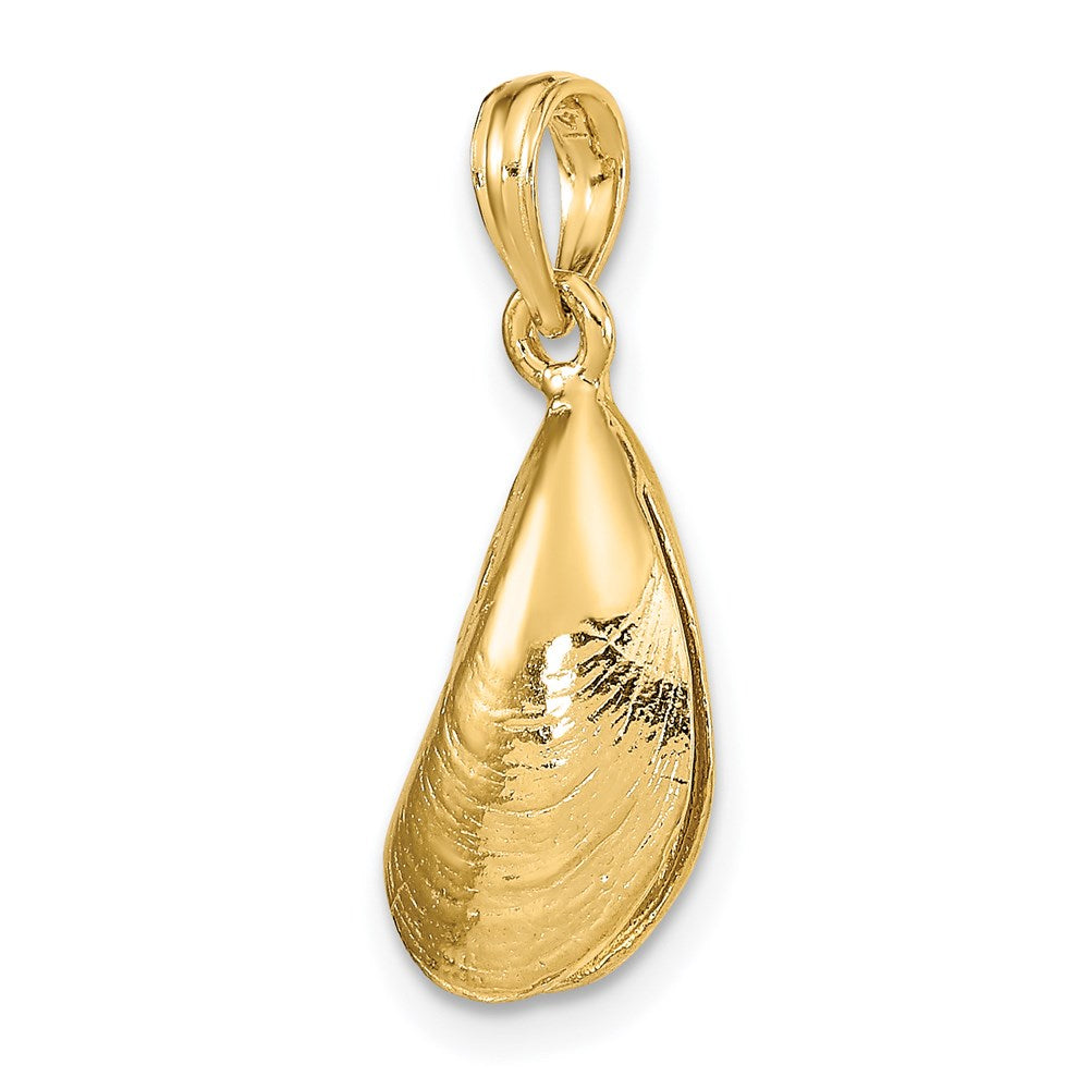 14k Yellow Gold 3-D Polished Mussel Shell Charm