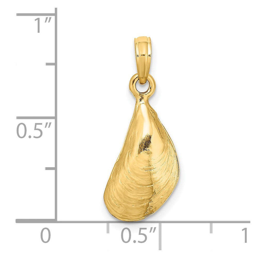 14k Yellow Gold 3-D Polished Mussel Shell Charm
