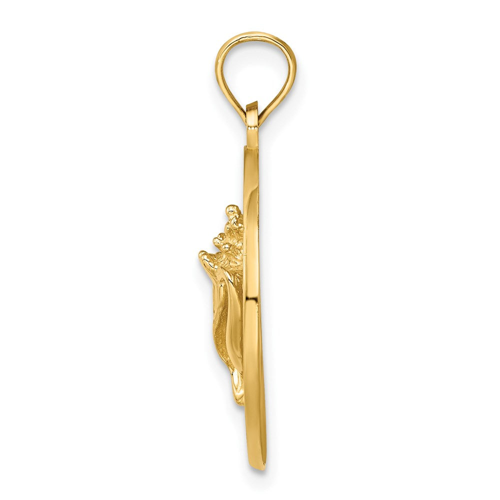 14k Yellow Gold CHARLESTON Conch Shell Charm