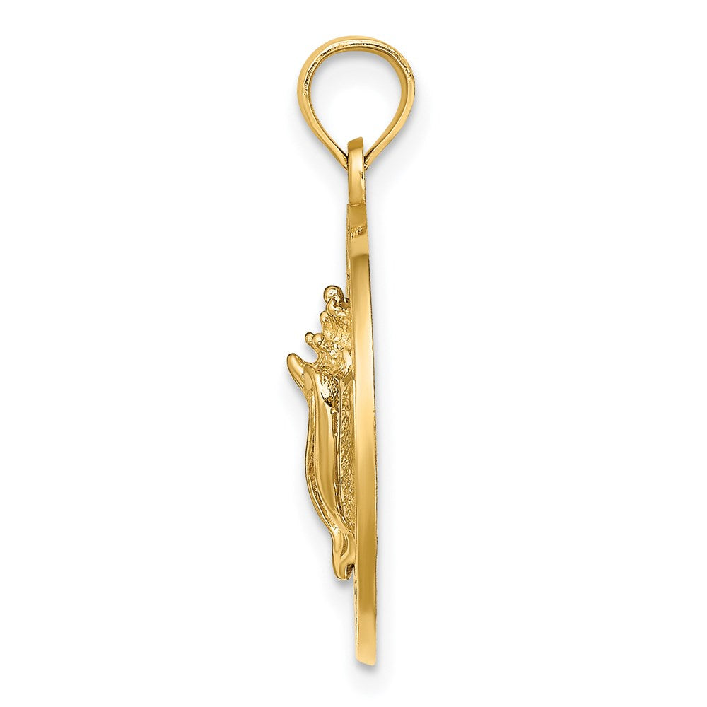 14k Yellow Gold CANCUN w/Conch Shell Circle Charm