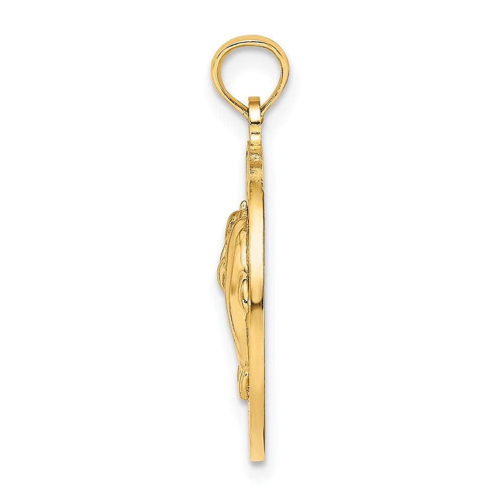 14k Yellow Gold BAHAMAS Dolphin Charm