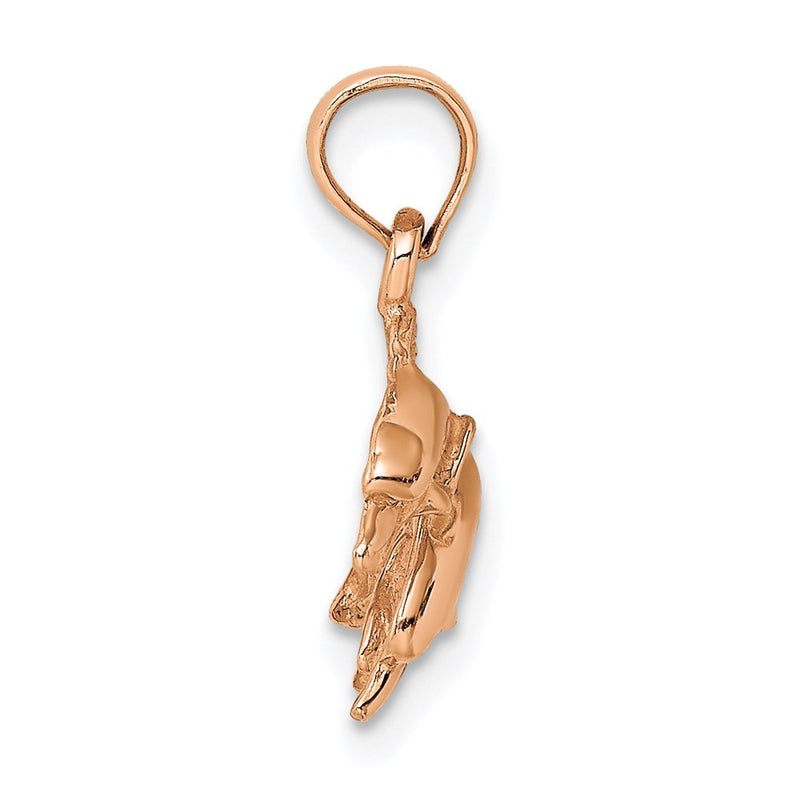 14k Rose Gold Polished Double Dolphins Jumping Left Charm