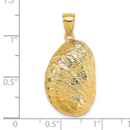 14k Yellow Gold Abalone Shell Charm