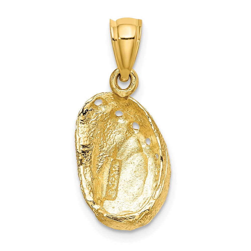 14k Yellow Gold Abalone Shell Charm