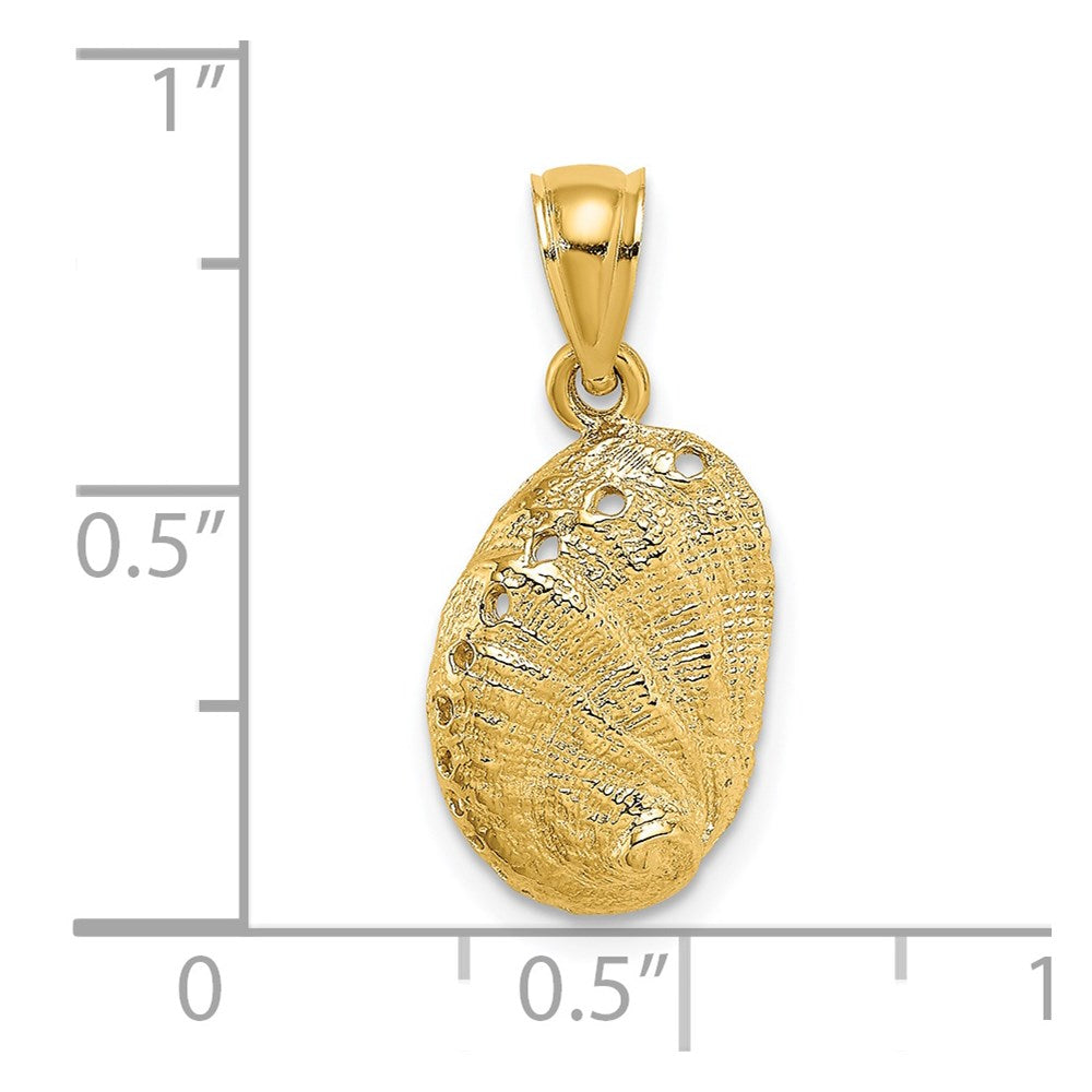 14k Yellow Gold Abalone Shell Charm