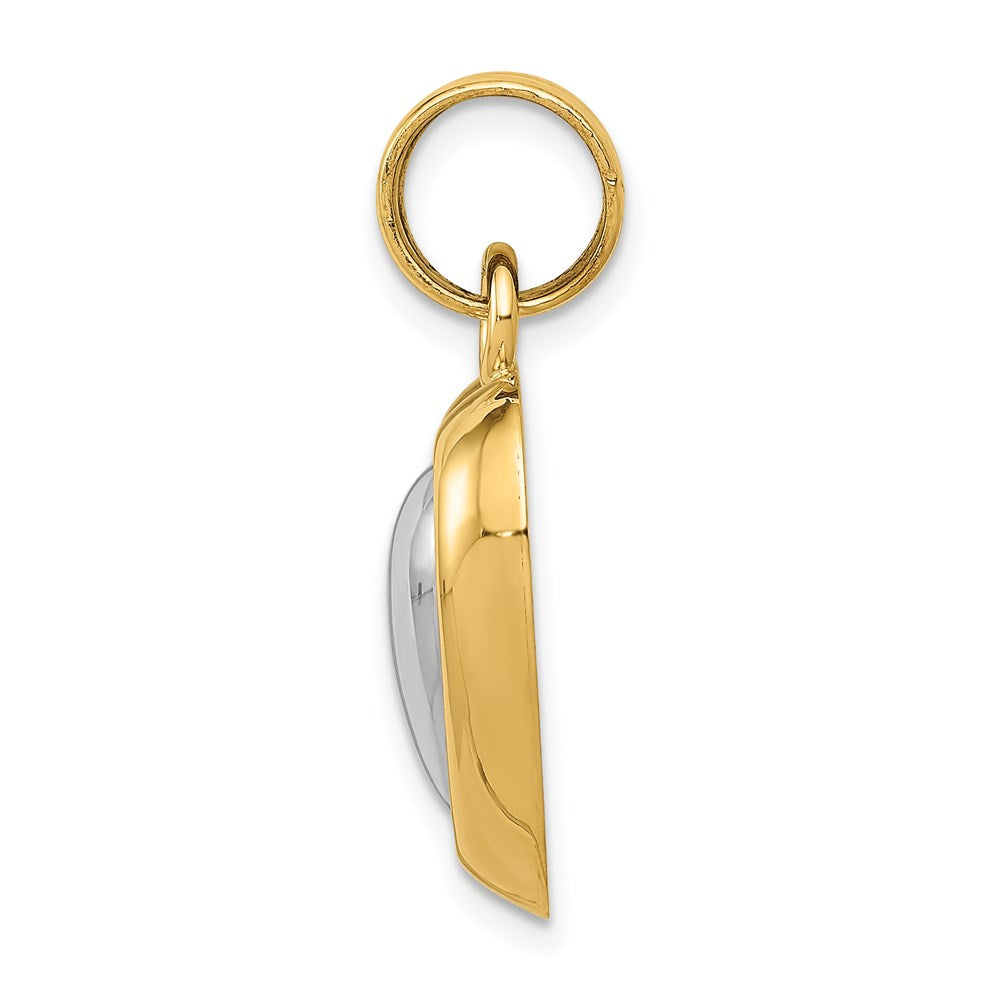 14k Yellow & Rhodium Gold w/White Rhodium Polished Heart Pendant