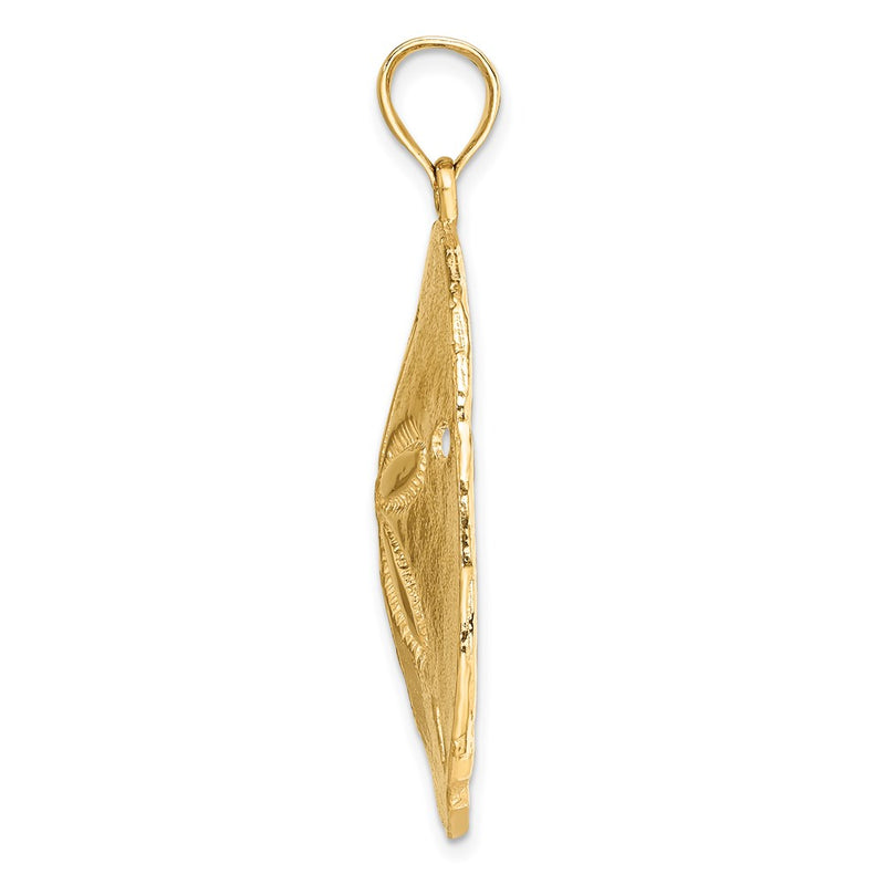 14k Yellow Gold Polished Sand Dollar Charm