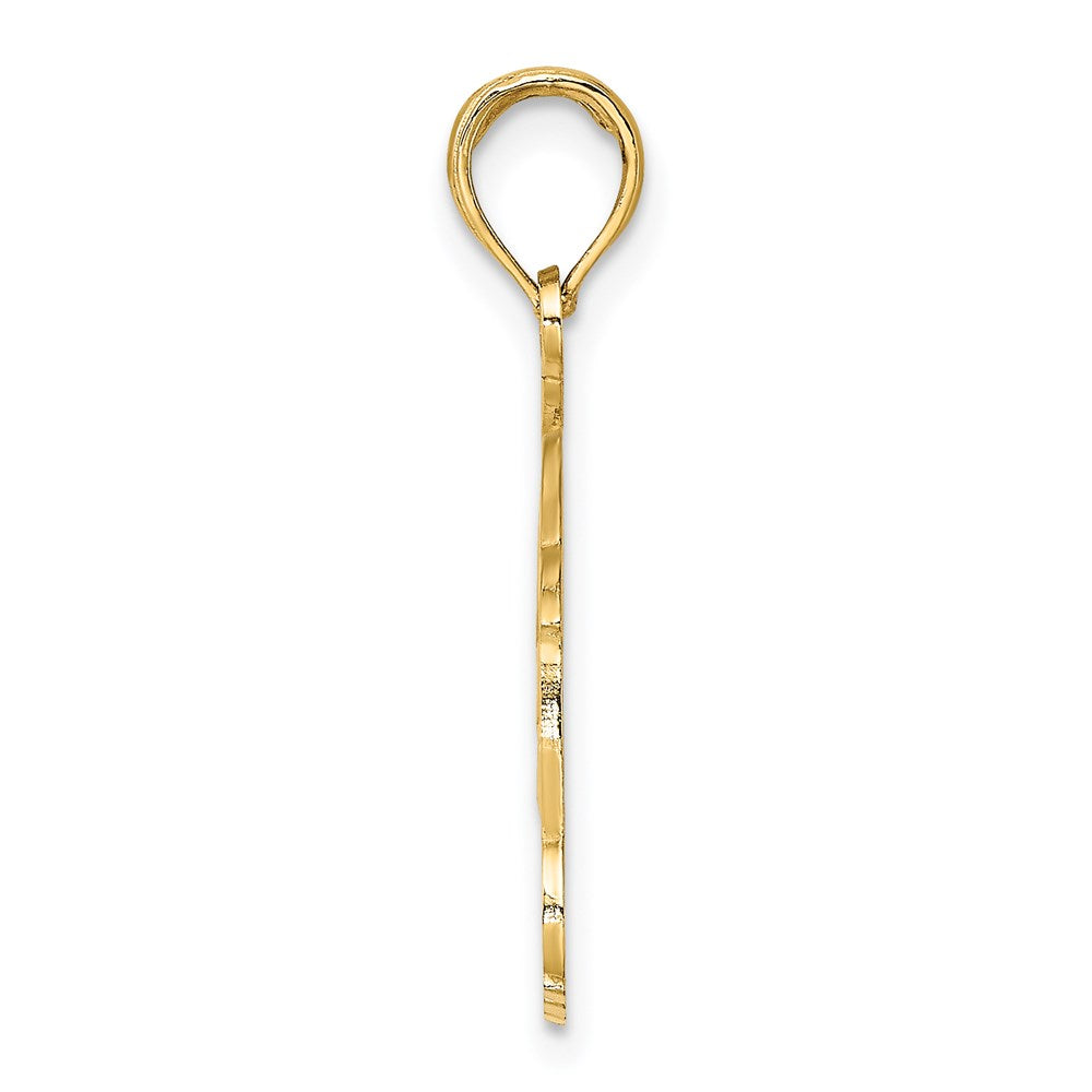 14k Yellow Gold NAPLES FLORIDA Jumping Dolphins Charm