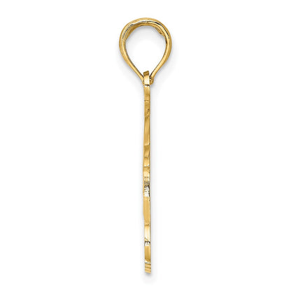 14k Yellow Gold NAPLES FLORIDA Jumping Dolphins Charm
