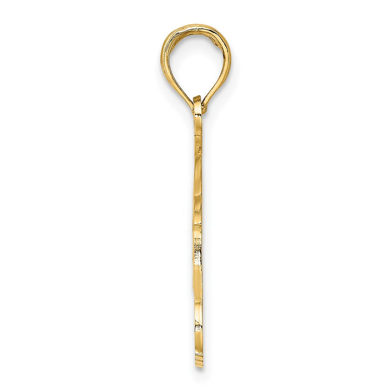 14k Yellow Gold NAPLES FLORIDA Jumping Dolphins Charm