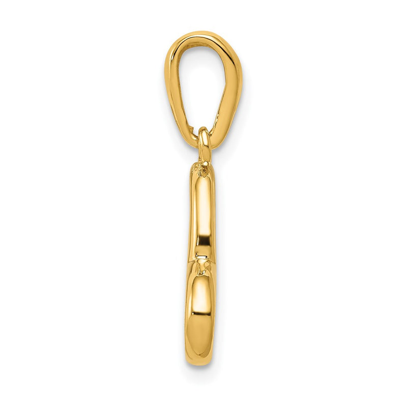 14k Yellow Gold Polished Heart Pendant