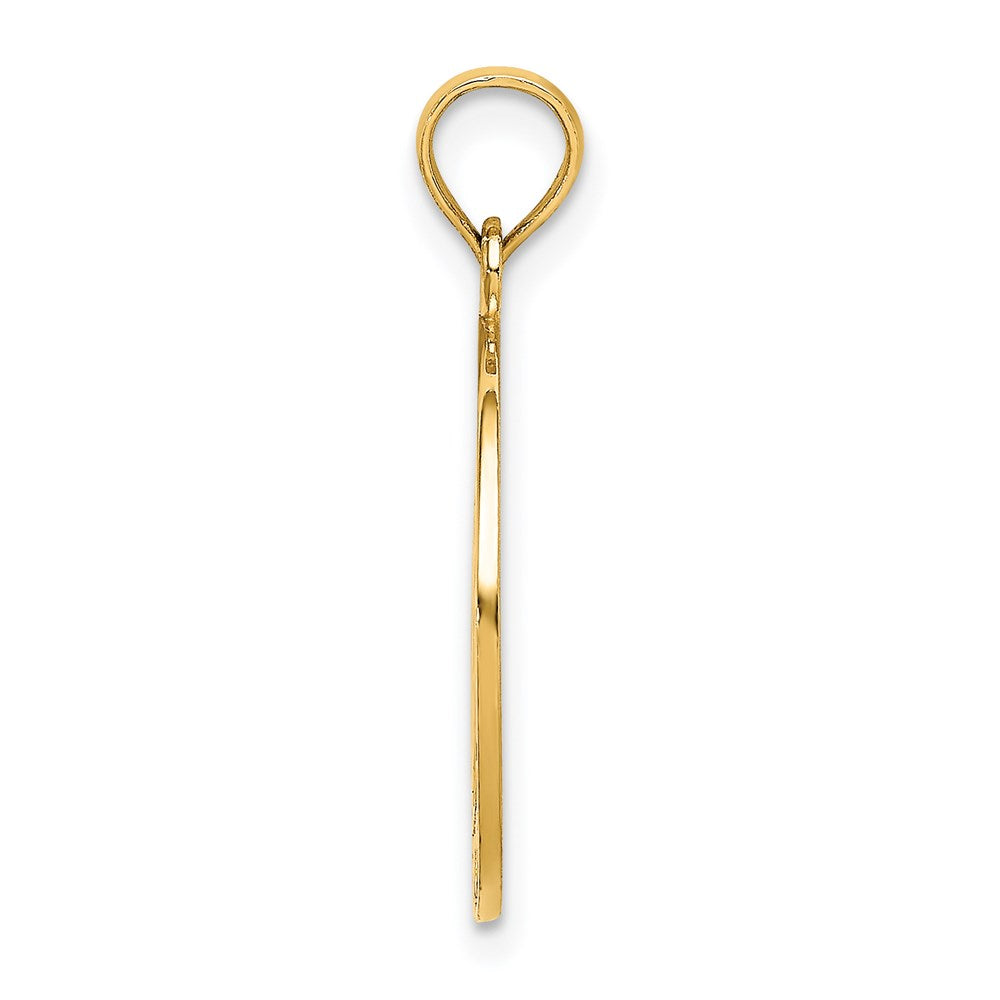 14k Yellow Gold VIRGINIA BEACH w/Dolphins Charm
