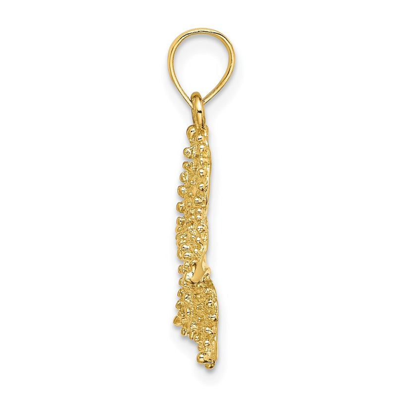 14k Yellow Gold Textured Starfish Charm