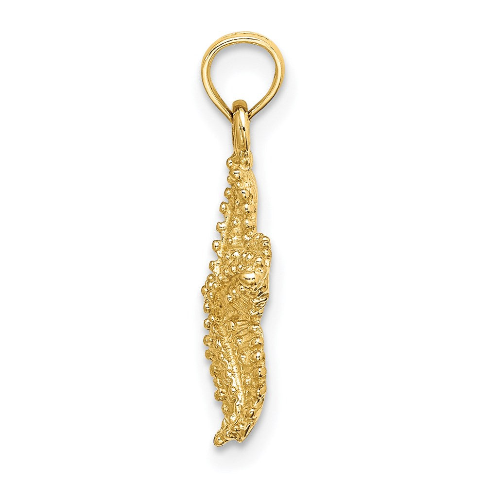 14k Yellow Gold Beaded Textured Starfish Charm