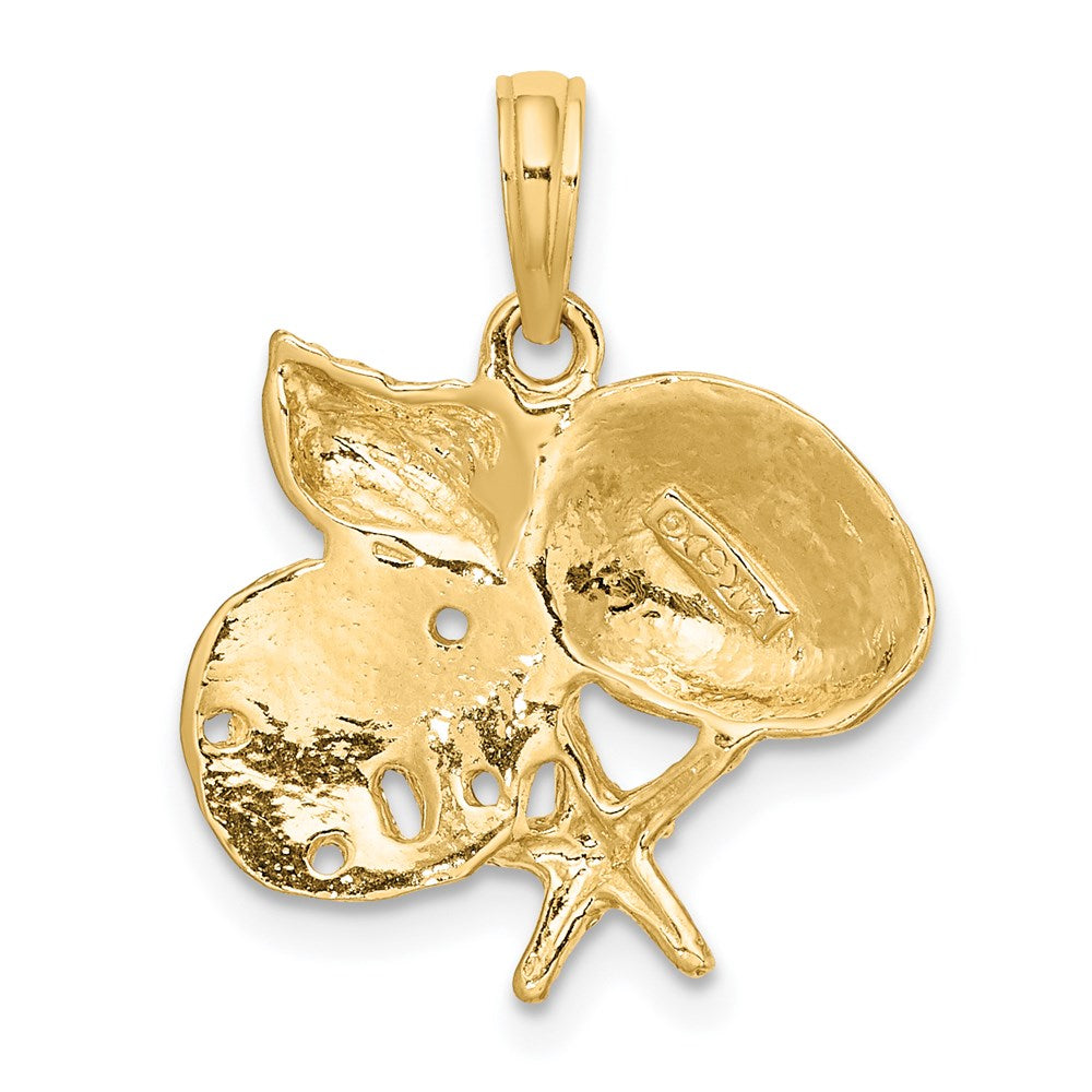 14k Yellow Gold Polished Shell Starfish and Sand Dollar Cluster Charm