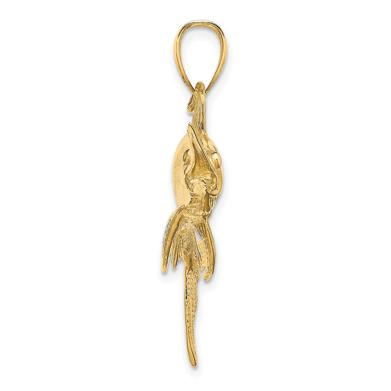 14k Yellow Gold 2-D Polished/Satin Swordfish Charm