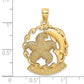 14k Yellow Gold ARUBA Under Starfish and Dolphin In Wave Charm