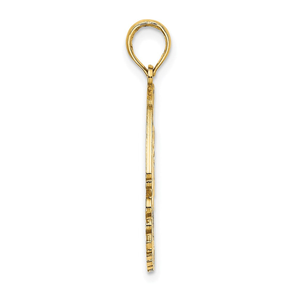 14k Yellow Gold Polished CURACAO Under Angelfish Charm