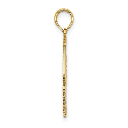 14k Yellow Gold Polished CURACAO Under Angelfish Charm