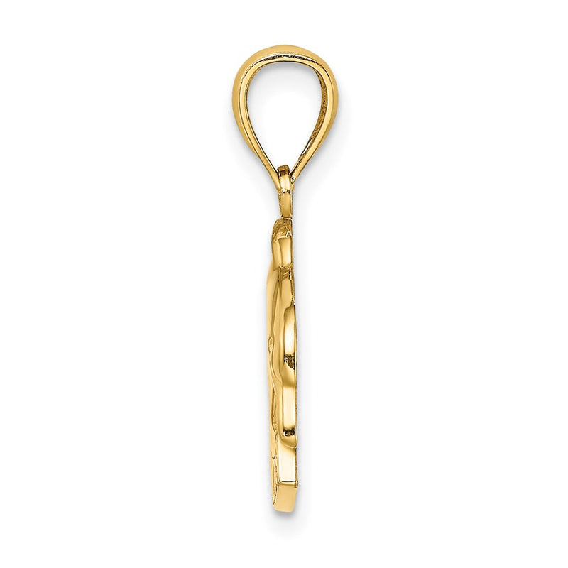 14k Yellow Gold Polished BARBADOS Dolphin Charm