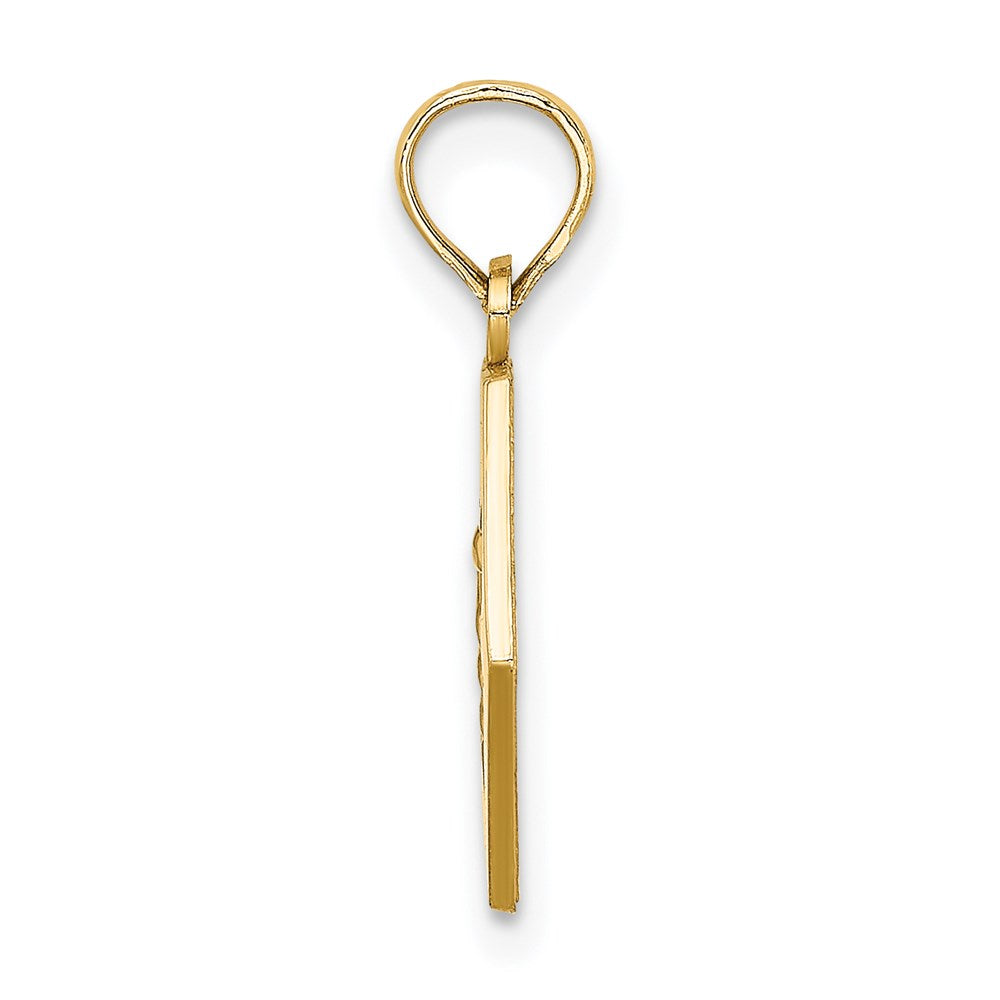 14k Yellow Gold Caduceus Textured Back Medical Charm