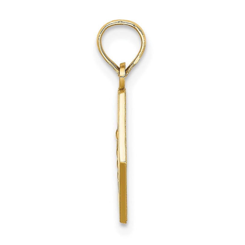 14k Yellow Gold Caduceus Textured Back Medical Charm