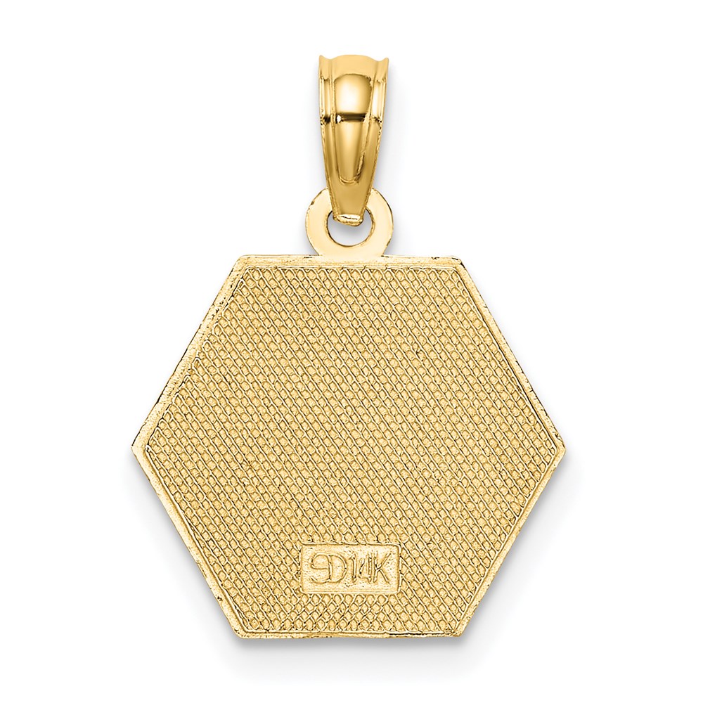 14k Yellow Gold Caduceus Textured Back Medical Charm