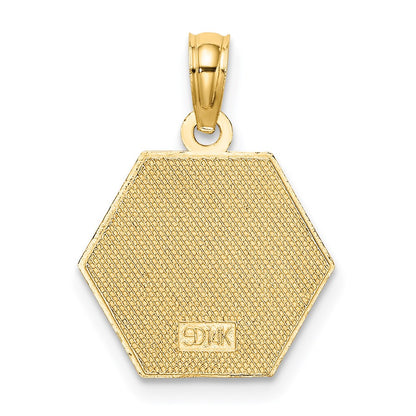 14k Yellow Gold Caduceus Textured Back Medical Charm