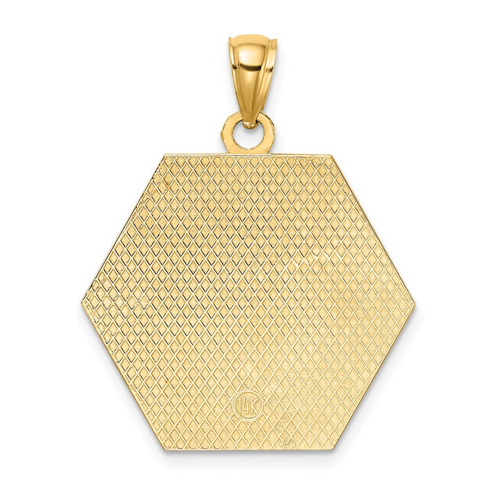 14k Yellow Gold Textured Back Caduceus Medical Disc