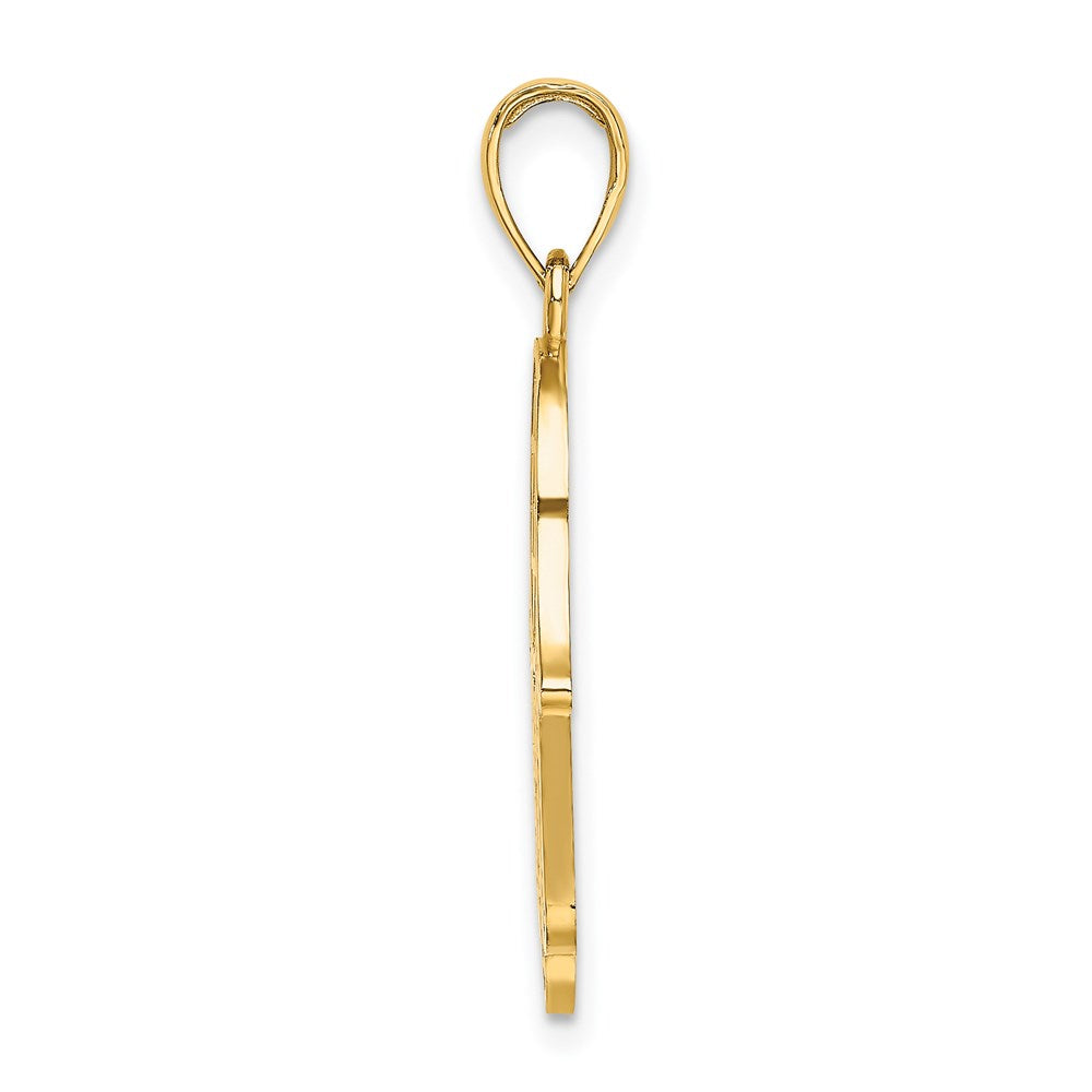 14k Yellow Gold Chamseh W/ Star Of David Charm