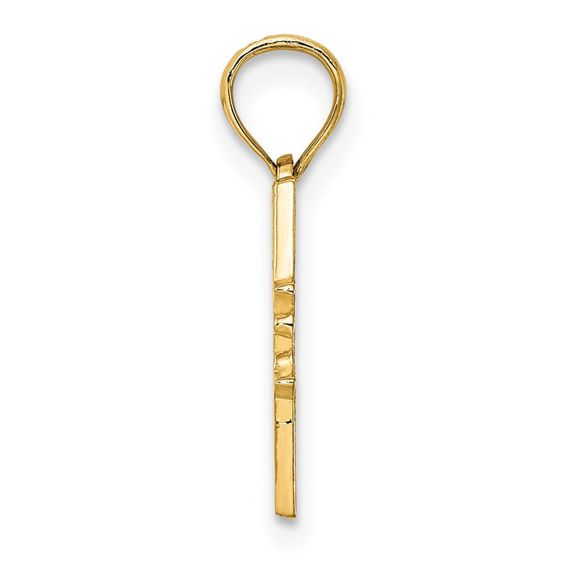 14k Yellow Gold DR. HENRY HUNT HOUSE - CAPE MAY NJ Charm