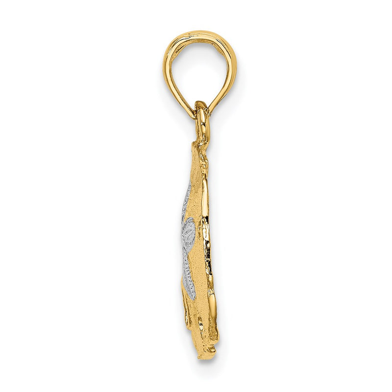 14k Yellow & Rhodium Gold with White Rhodium Polished Sand Dollar Charm