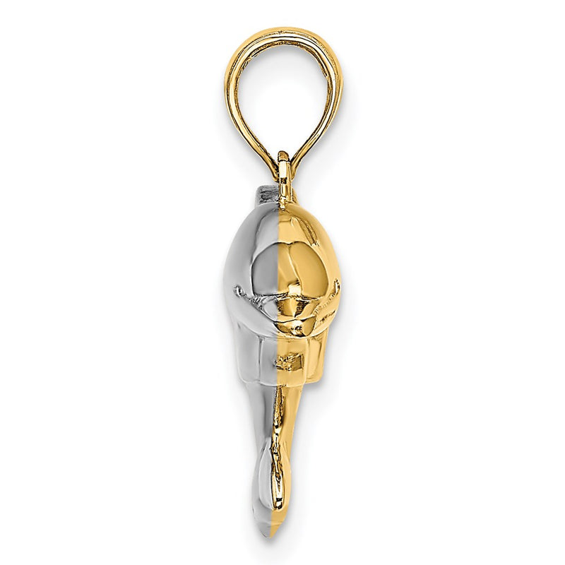 14k Yellow & Rhodium Gold w/Rhodium 3-D Reversible Puffed Dolphin Charm