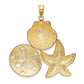14k Yellow & Rhodium Gold with White Rhodium Scallop Starfish and Sand Dollar Charm