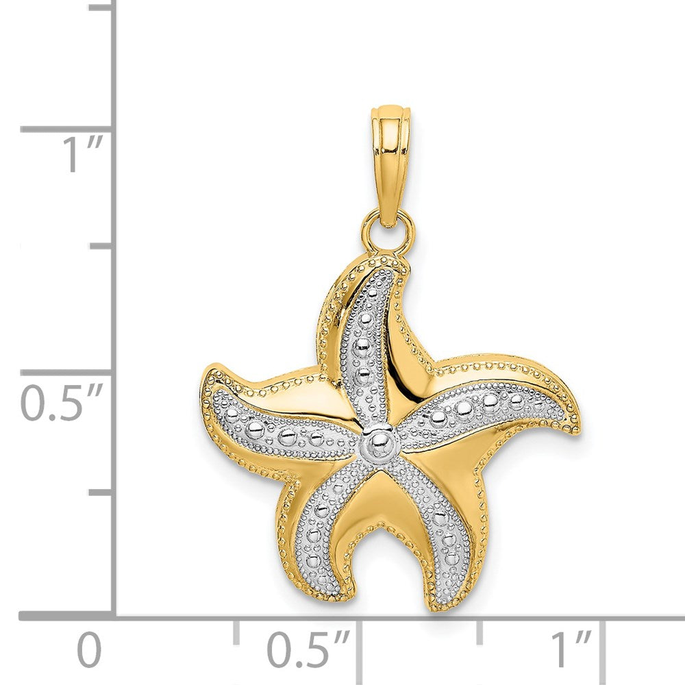 14k Yellow & Rhodium Gold Rhodium  Diamond-cut Polished Starfish Charm