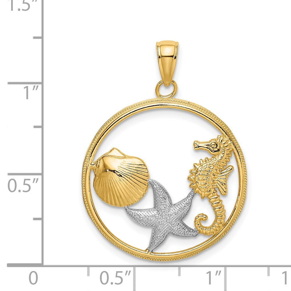 14k Yellow & Rhodium Gold with White Rhodium Scallop Starfish Seahorse Circle Charm
