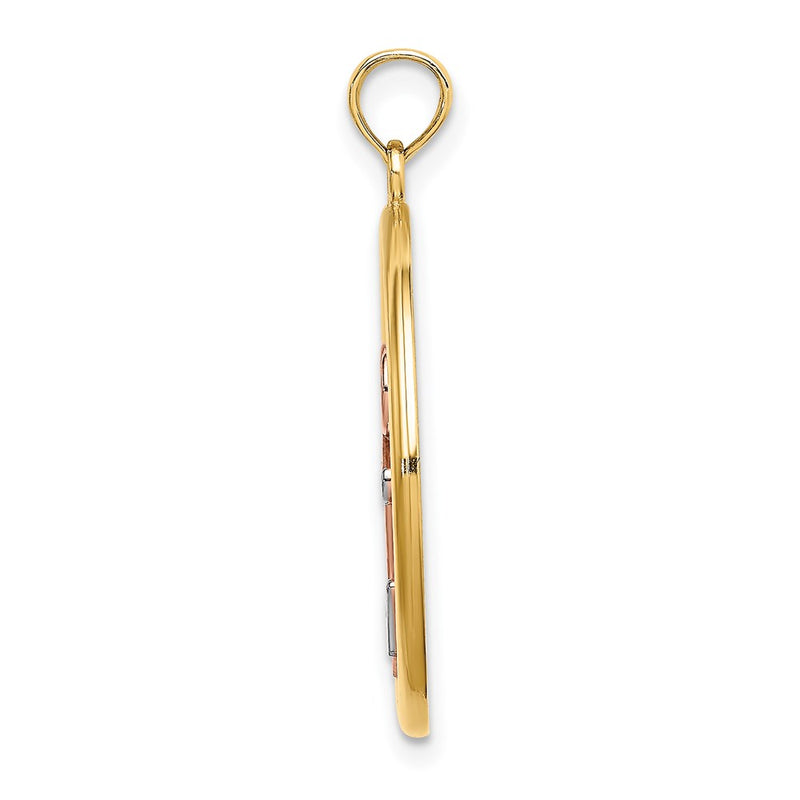 14k Two-tone Gold w/White Rhodium Anchor In Circle Charm