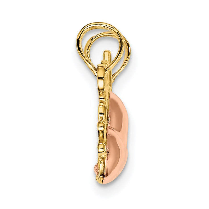 14k Two-tone Gold Two-tone Gold MOTHER and DAUGHTER Break-Apart Hearts Charm