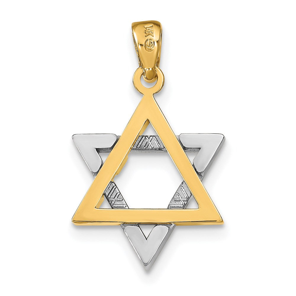 14k Two-tone Gold Two-tone Gold Star Of David Charm