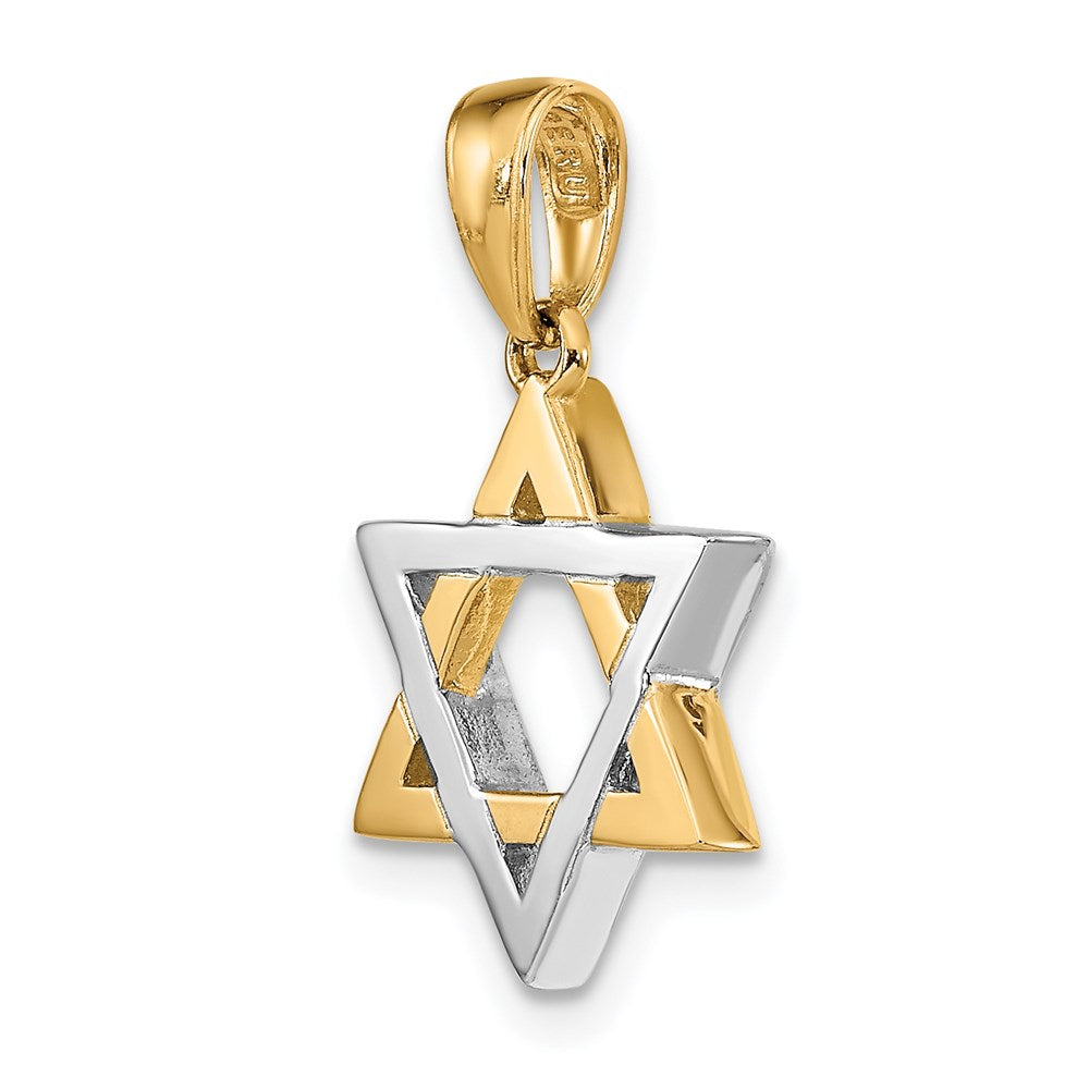 14k Two-tone Gold Two-tone Gold Star Of David Charm