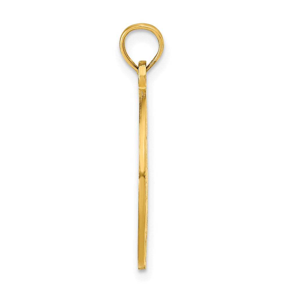 14k Yellow Gold OCEAN CITY w/Dolphins Pendant